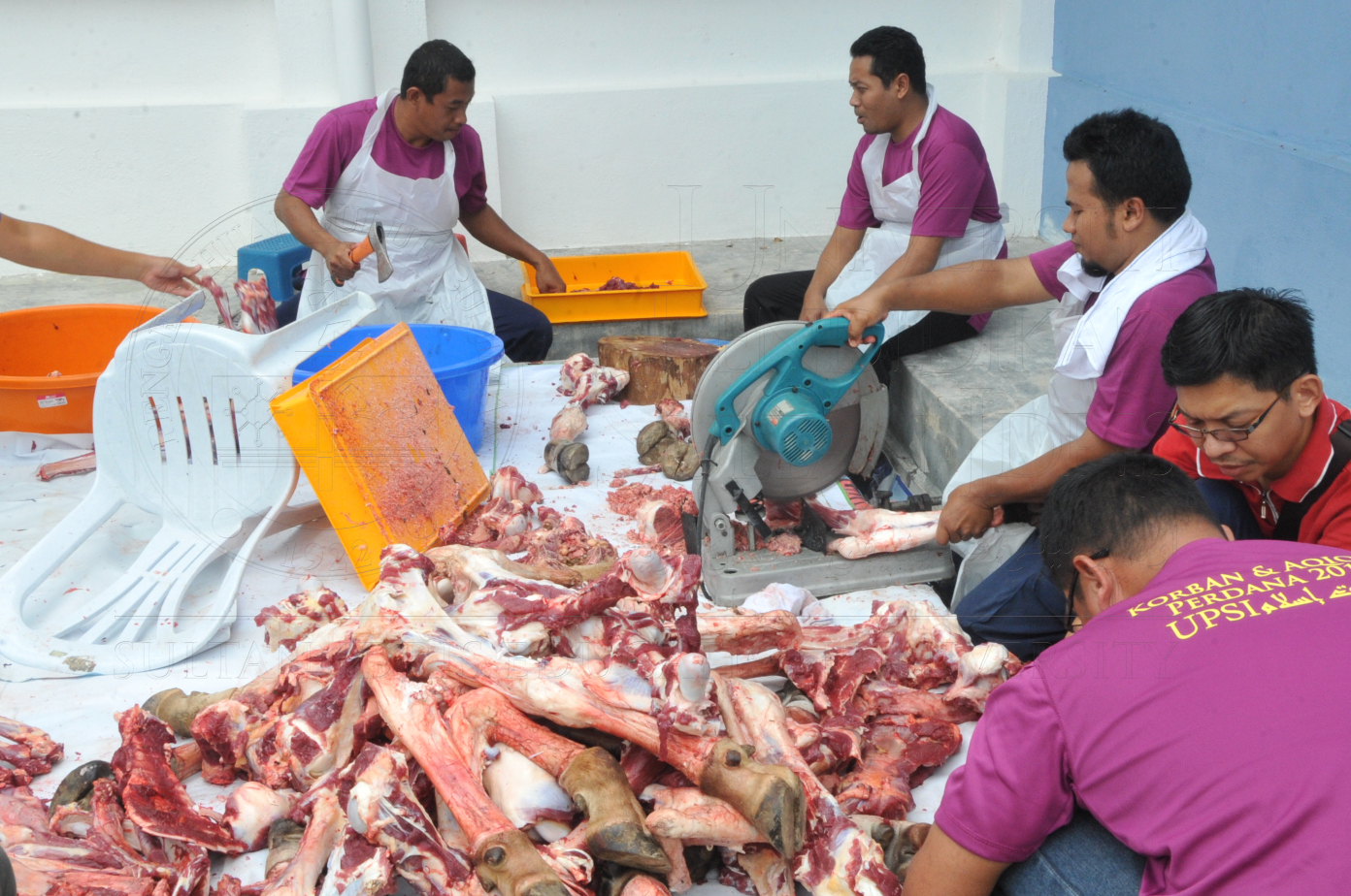 PRO15 150 KORBAN HAS 6985